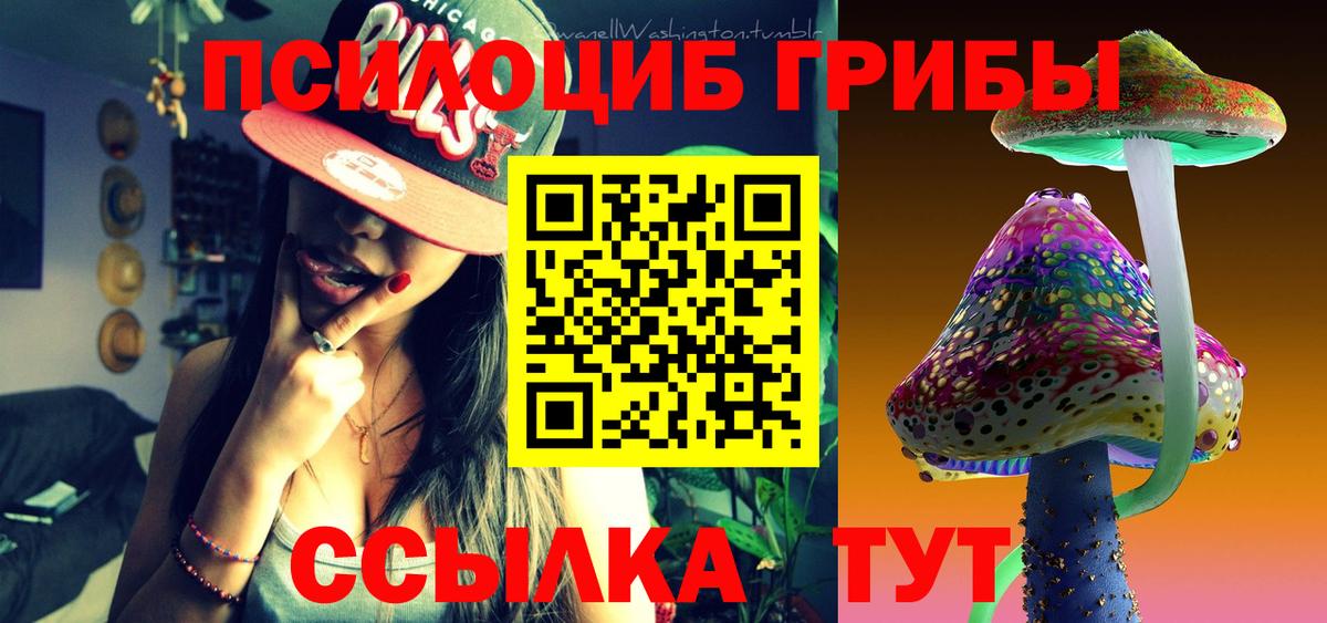 Галлюциногенные грибы MAGIC MUSHROOMS Донской